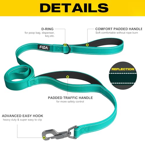 Heavy Duty Dog Leash for Medium Large Dogs (4 Feet (Pack of 1) / Teal)