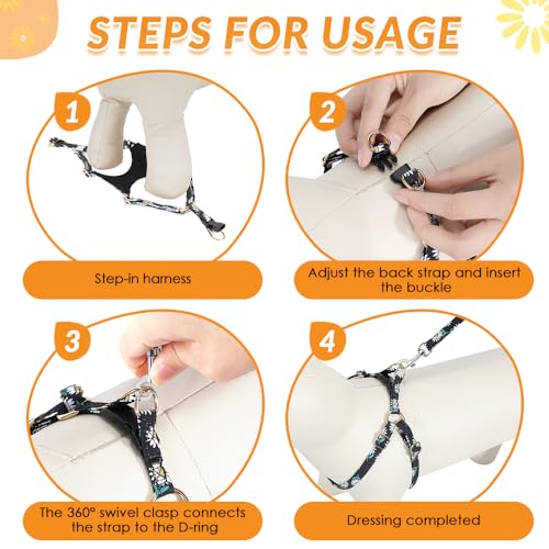 No Pull Dog Harness with Leash for Small Medium Dogs (XX-Small(2.2-6lb) / Black Daisy)