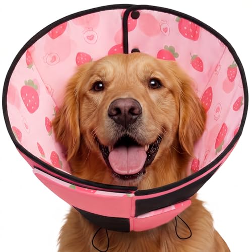 Dog Cones for Large Dogs (L / Strawberry)