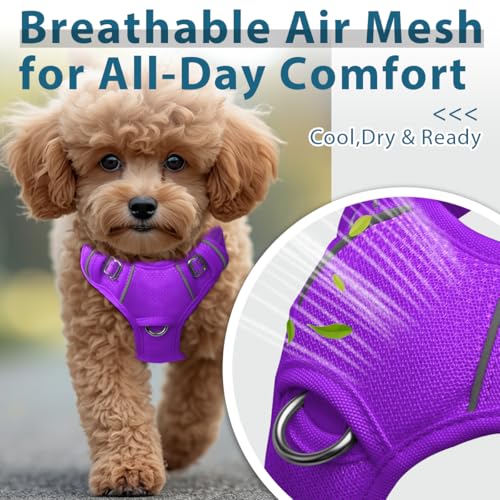No Pull Dog Harness for Small Sized Dogs (Small(Chest:19.5-26”) / Purple)