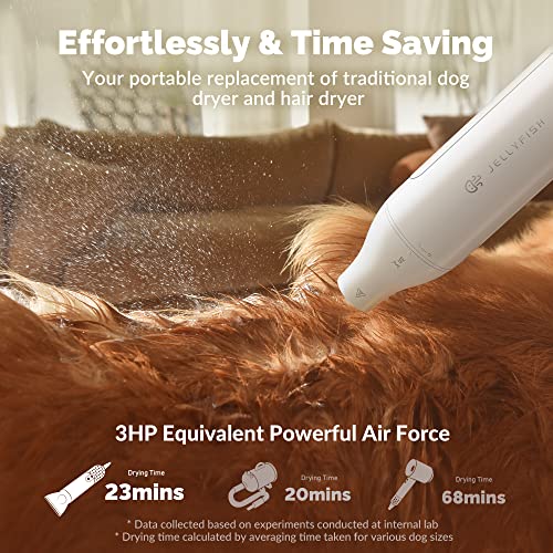 Handheld Dog Dryer