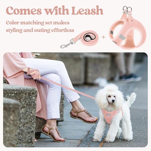 Dog Harness Medium Sized and Leash Set (Pink / Xxl (chest: 21.6 - 23.7"))