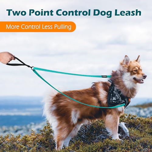Two Point Control Dog Leash (Turquoise)