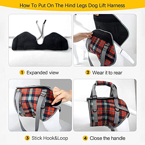 Dog Lift Harness (Small / Hind Legs-Blue)
