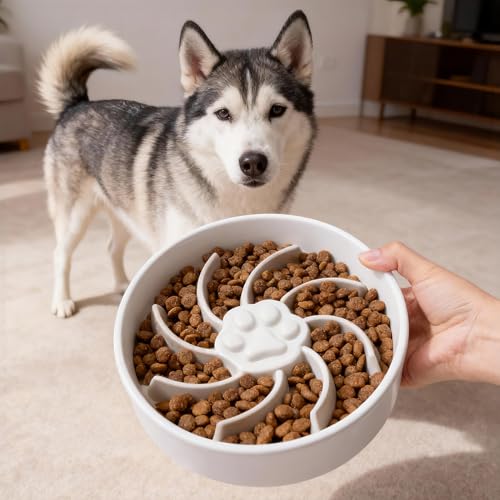Ceramic Slow Feeder Dog Bowl (White)