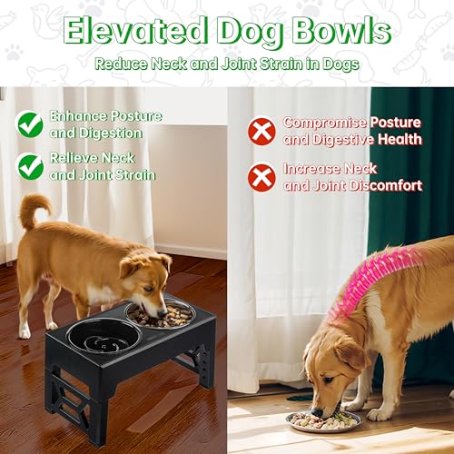 Elevated Dog Bowls (2 Bowls + 1 Slow Feeder / Black)