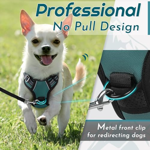 Dog Harness for Small Dogs (X-Small / Dark Green)