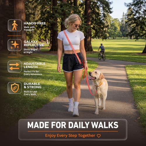 Hands Free Dog Leash (6–9.5 ft / Orange)