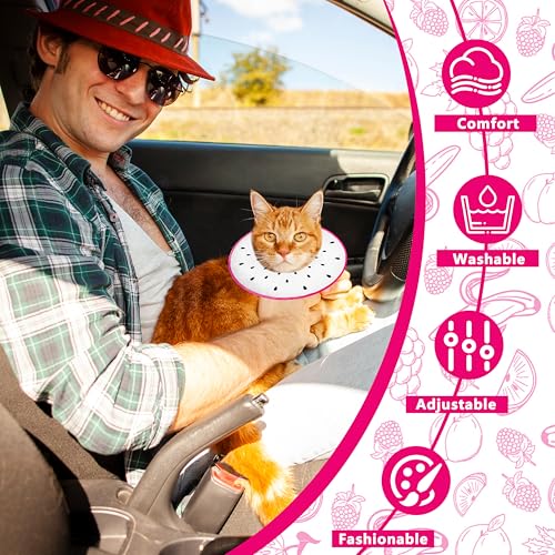 Cat Cone Collar Soft (Dragonfruit / Large)