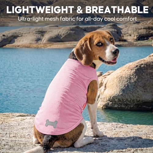 2Pack Dog Shirts for Small Dogs Breathable Mesh Tank Top (Medium (7-13lbs) / 4# 2Pack (Lemon+Pink))