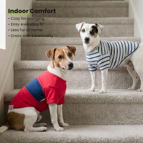 3 Pack Color Block Striped Dog Shirt (X-Large / Red-Blue-Grey)