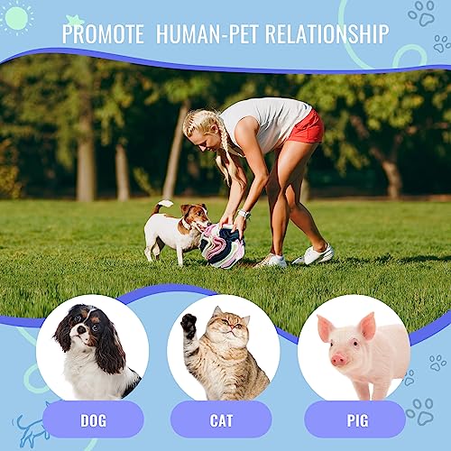 Pet Snuffle Ball (Classic pink blue white / 15cm)