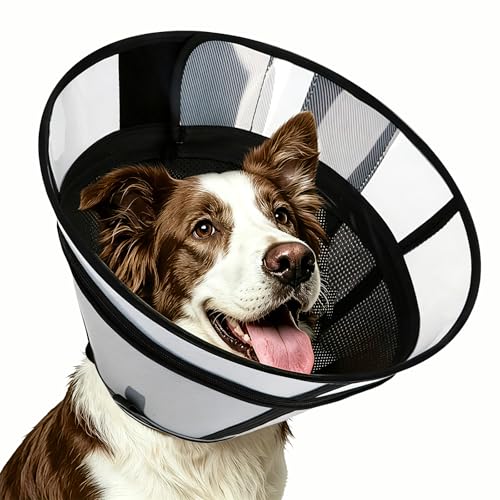 Soft Transparent Dog Cone Collar (M (Neck: 11.81-13.78") / Black)
