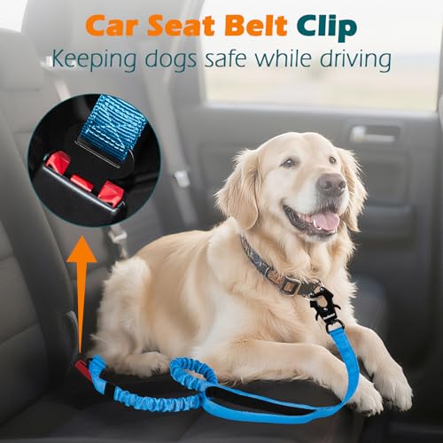 Heavy Duty Tactical Dog Leash (Light Blue)