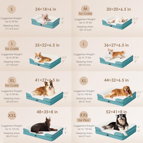 Orthopedic Dog Bed (Turquoise Blue / 30.0"l X 20.0"w X 6.5"th)