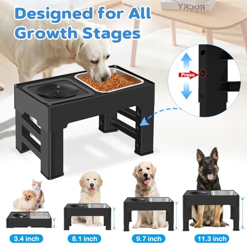 Elevated 2 in (Stainless Steel Food Bowl)