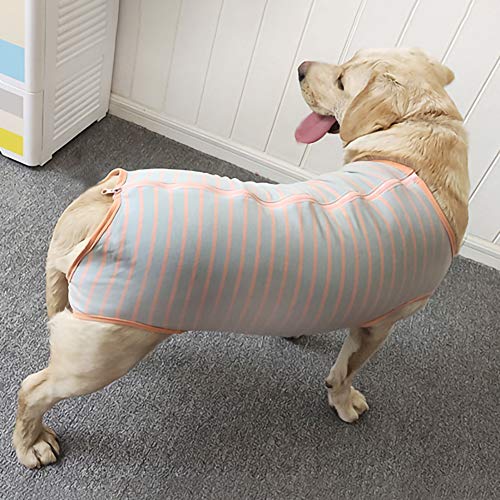 Dog’s Recovery Suit Post Surgery Shirt for Female Male Dog (3xl / grey orange stripe)