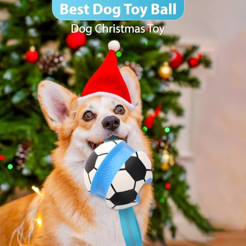 Dog Toys Balls (Blue White)