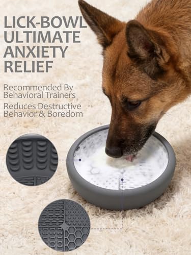 Dog Lick Bowl with Brush and Scraper (Gray / Small)