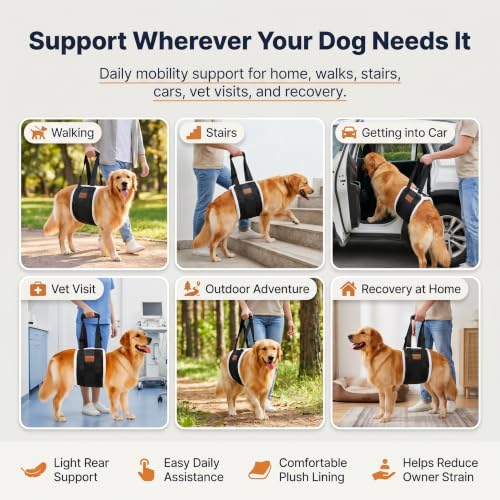 Dog Lifting Sling Dog Lift Harness for Back Legs (Medium / Black)