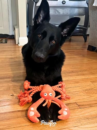Large Squeaky Dog Toys (Regular Lobster)