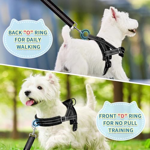 No Pull Small Dog Harness and Leash Set with Front Clip (X-Small / Black)