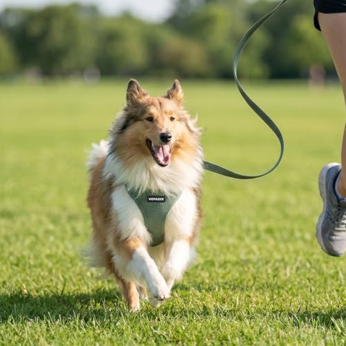 Voyager Step in Air All Weather Mesh Harness and Reflective Dog 5ft Leash Combo with Neoprene Handle (Moss Green / XS (Chest: 13 - 14.5"))