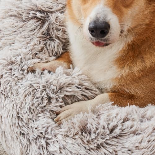 Western Home Calming Donut Small Dog Cat Bed Washable Puppy Bed (White Khaki / 24.0"l x 24.0"w x 7.0"th)