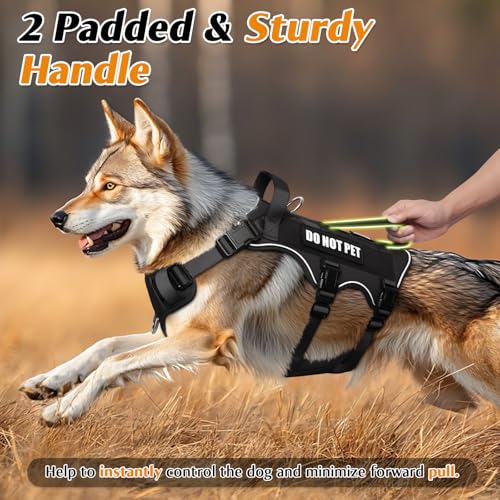 Escape Proof Dog Harness with Double Handle+4 Removable Patches (Small / Black)