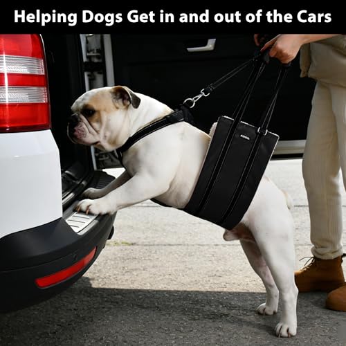 Dog Lift Harness for Senior (Black / S)