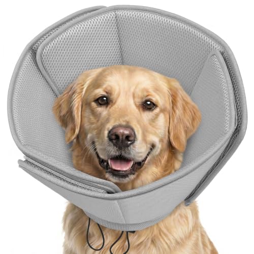 Soft Dog Cone Collar Anti (Grey / X-Large)