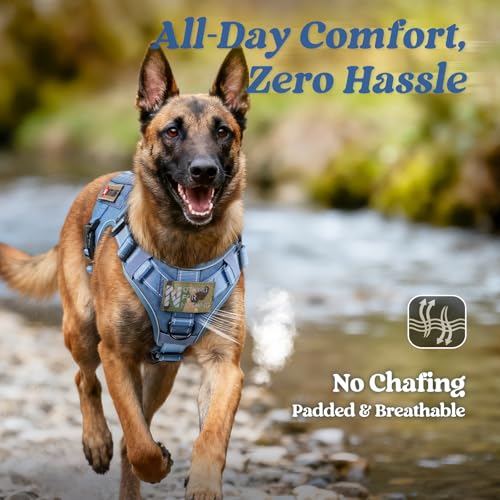 Tactical Dog Harness for Medium (Blue Reflex / Medium)
