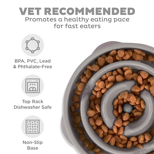 Fun Feeder Slo Bowl Dog Slow Feeder (Gray / Large)