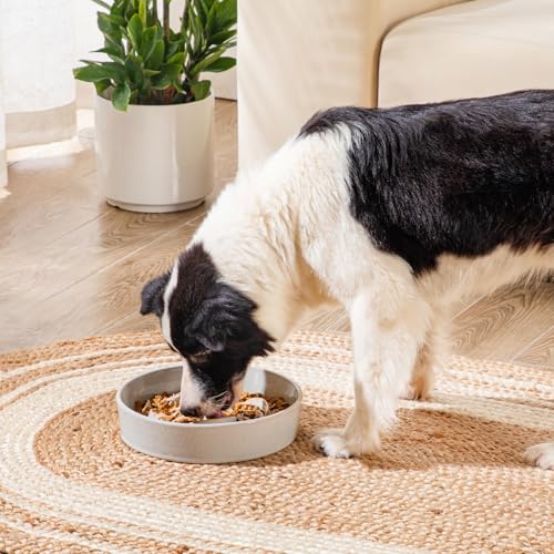Slow Feeder Dog Bowls (L - 3 Cups / Light Gray)