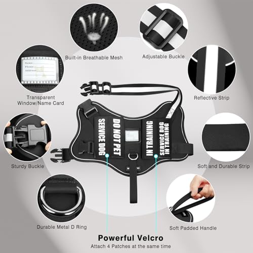 Service Dog Vest Harness and Leash Set+10 Patches (Small / Black)