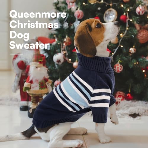 Dog Striped Knitted Sweater (Medium / Blue)