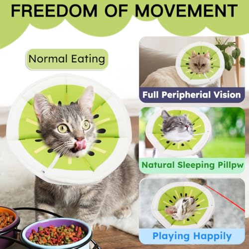 Cat Cone Collar Soft (Kiwifruit / Small)