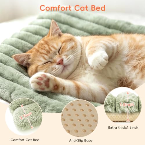 Cat Bed Mat for Indoor Cats (Green / Medium 23.6×15.7 inch)