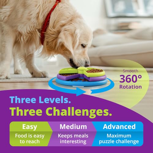 Slow Feeder Maze Dog Bowl