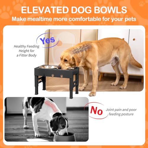 Elevated Dog Bowls with 2 Stainless Steel Bowls (For Medium Large Dogs / Black)