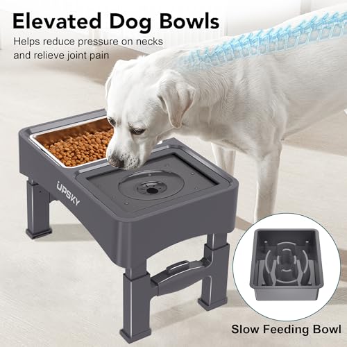 3-in-1 Elevated Dog Bowls Set with 4 Height Adjustable Stand, Gray (D-3 in 1 (Grey))