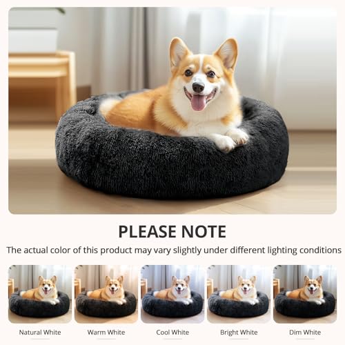 Calming Small Dog & Cat Bed for Indoor Cats (Dark Grey / 20.0"L x 20.0"W x 6.0"Th)