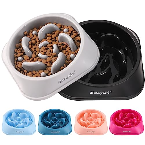 2 Pack Slow Feeder Dog Bowls (B-Gray&Black / Medium)