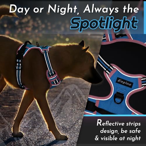 Dog Harness for Medium Sized Dogs (Medium / Pink & Sky Blue)
