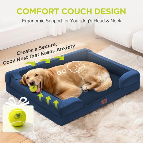 Waterproof Orthopedic Dog Bed for Medium Large Sized Dogs (36 x 27 x 7.5 in / Royal Blue)