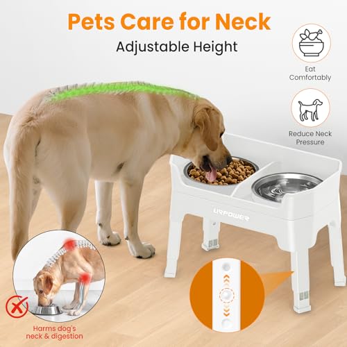 Elevated Dog Bowls (Light Grey / Large)