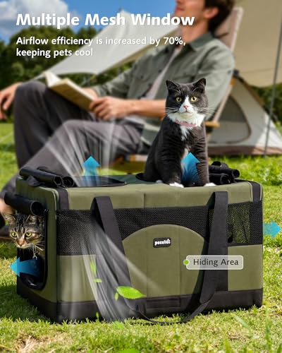 Large Cat Carrier (Green)