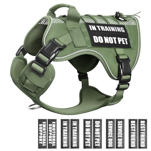 Service Dog in Training Mesh Harness with 10 Removale Pet Patches (Medium / Green)