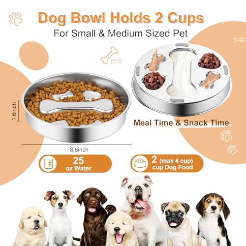 Stainless Steel Slow Feeder Dog Bowls with Pet Feeding Mat