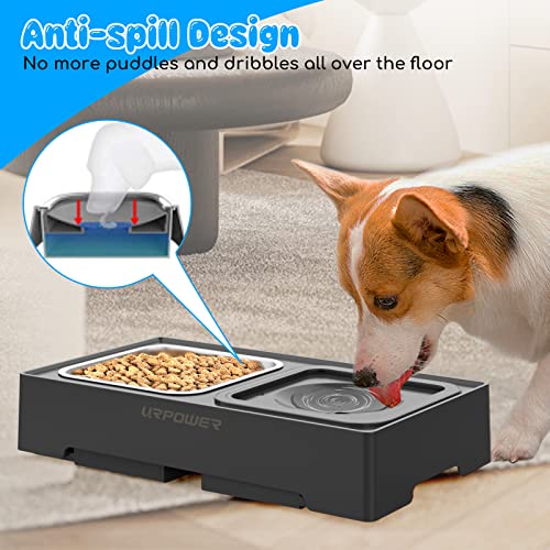 2-in-1 Elevated Dog Bowls 4 Height Adjustable Raised Dog Bowls (Black / No Spill Water Bowl)